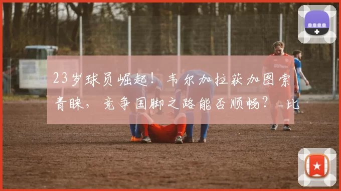 23岁球员崛起！韦尔加拉获加图索青睐，竞争国脚之路能否顺畅？_比赛_欧冠_那不勒斯
