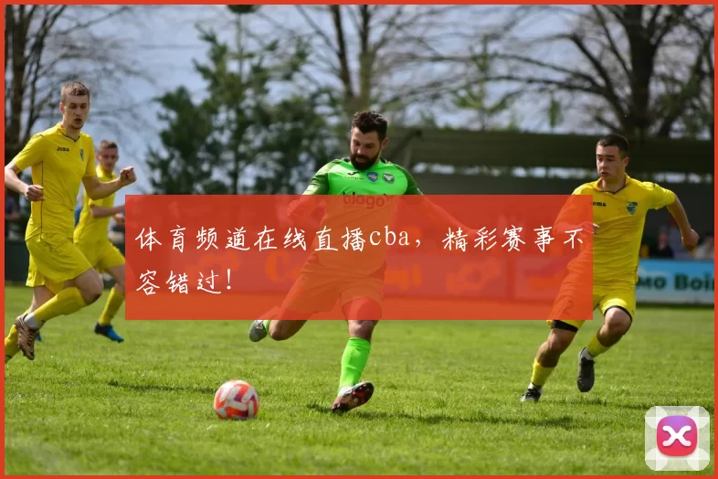 体育频道在线直播cba,精彩赛事不容错过!