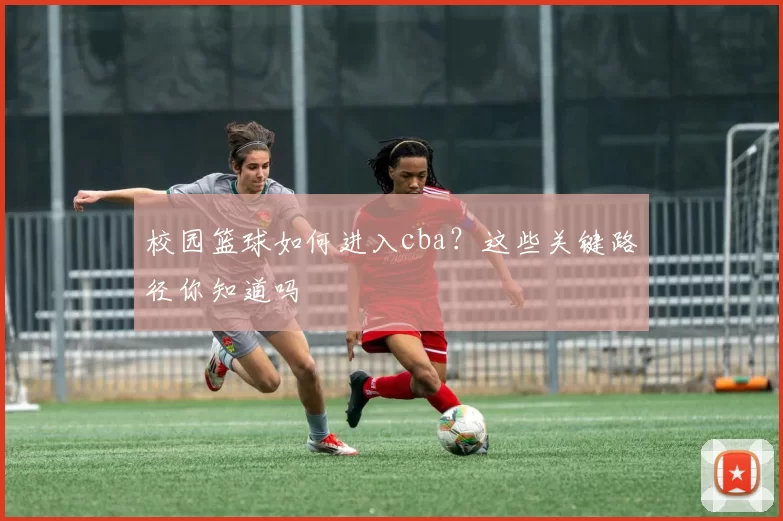 校园篮球如何进入cba？这些关键路径你知道吗