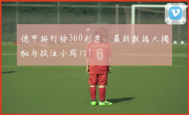 德甲排行榜360彩票,最新数据大揭秘与投注小窍门!