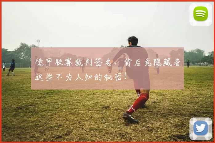 德甲联赛裁判签名，背后竟隐藏着这些不为人知的秘密！